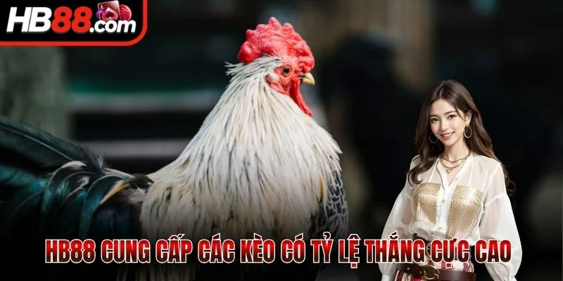 HB88 cung cấp các kèo có tỷ lệ thắng cực cao 