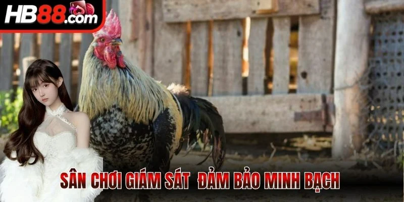 Sân chơi giám sát công bằng, chặt chẽ đảm bảo minh bạch 